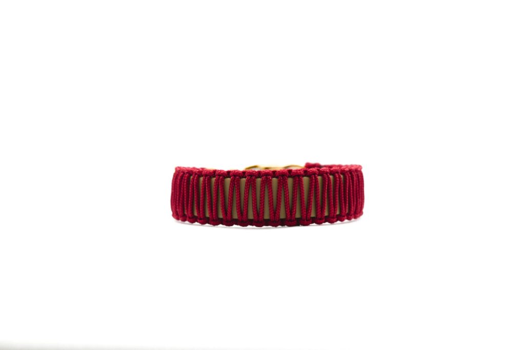 Set Desert Wine – Hundeleine & Hundehalsband