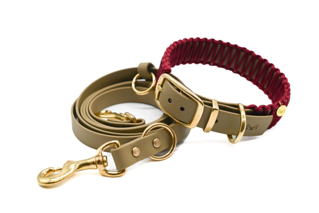 Set Desert Wine – Hundeleine & Hundehalsband