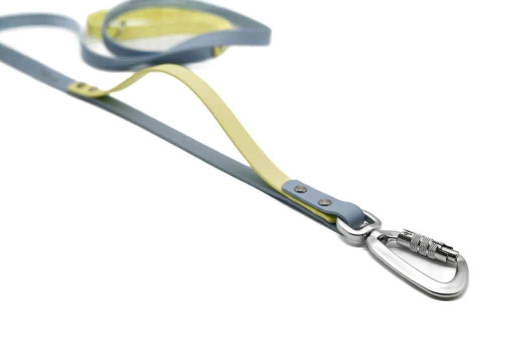 Hundeleine NeoLoop