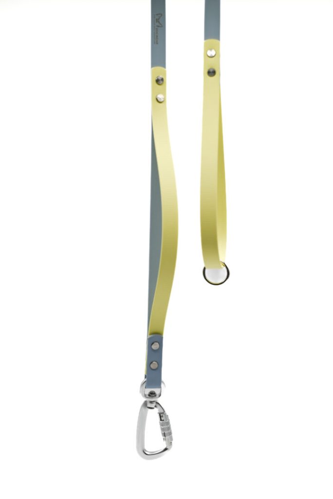 Hundeleine NeoLoop