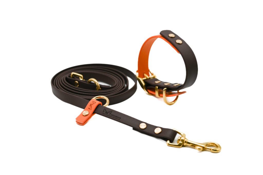 Set Burnt Oak Mini – Hundeleine & Hundehalsband