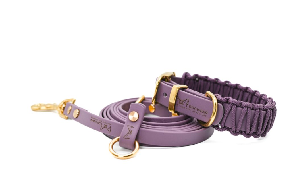 Set Lilou Mini – Hundeleine & Hundehalsband