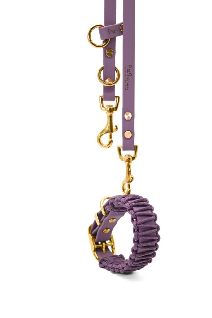 Set Lilou Mini – Hundeleine & Hundehalsband