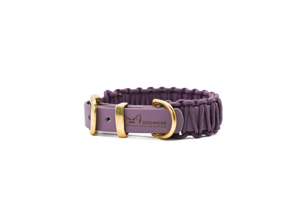Set Lilou Mini – Hundeleine & Hundehalsband