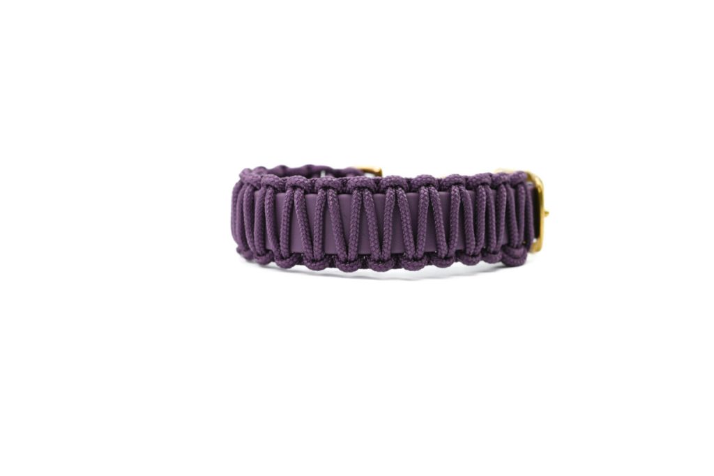 Set Lilou Mini – Hundeleine & Hundehalsband