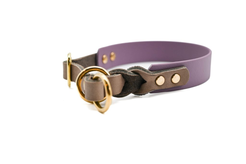 Wildpaw – Braided Slip Collar
